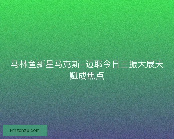 马林鱼新星马克斯-迈耶今日三振大展天赋成焦点 马林鱼新星马克斯-迈耶今日三振大展天赋成焦点